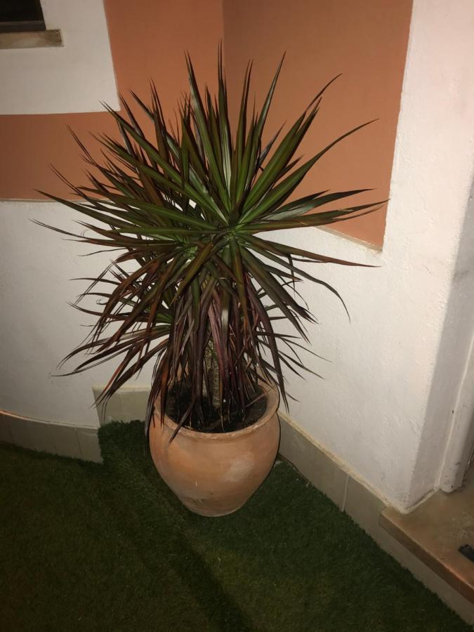 Sun Place Guest House Lagos Esterno foto
